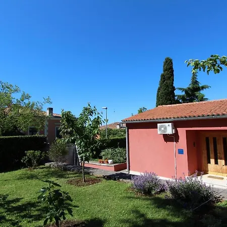 Tigra One-Bedroom Apartment Daire